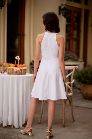 Lace Overlay Dress Cut-out Shoulder Crew Neck Defined Waist Dress