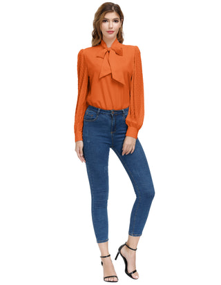 Women Bow-Knot Decorated Shirt Pullover Long Sleeves V-Neck Tops